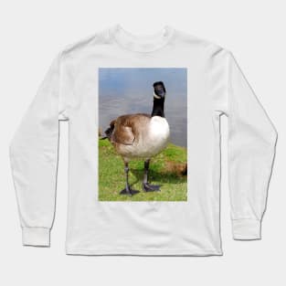 Canada Goose Canadian Geese Wild Bird Long Sleeve T-Shirt